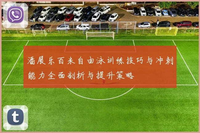 潘展乐百米自由泳训练技巧与冲刺能力全面剖析与提升策略